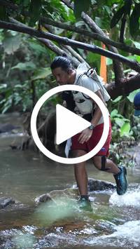 BIB:  <button type="button" onclick="openModal(27824764)" class="btn btn-primary btn-sm float-right" data-toggle="modal" data-target=".modal-high-quality">
                <i class="fa fa-download"></i> Download
                </button>